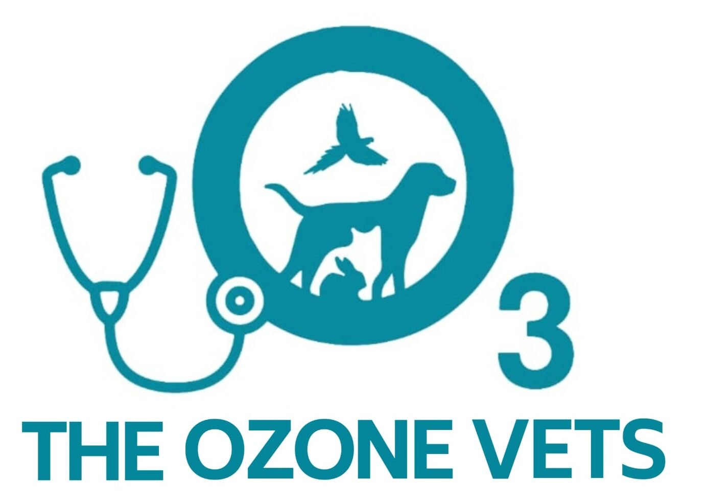 WhatsApp Image 2025-10-04 at 3.03.44 PM