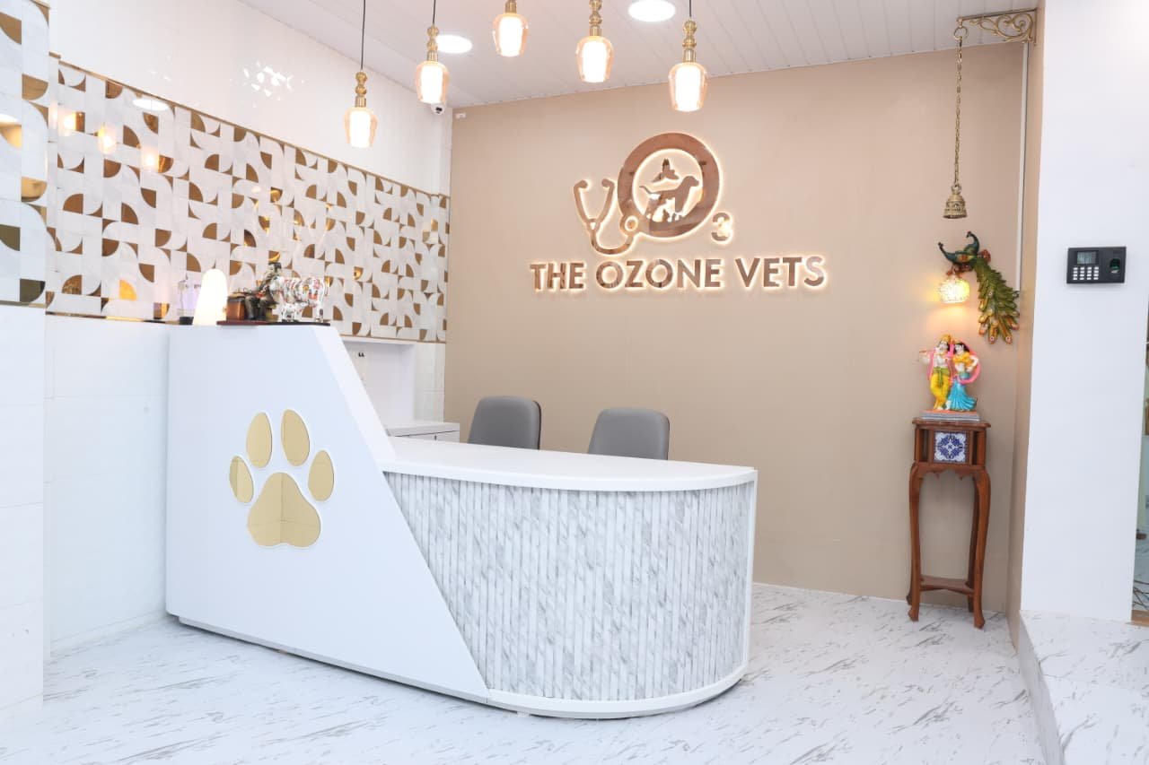Best Veterinary clinic near Andheri