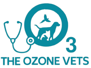 WhatsApp_Image_2025-10-04_at_3.03.44_PM-removebg-preview