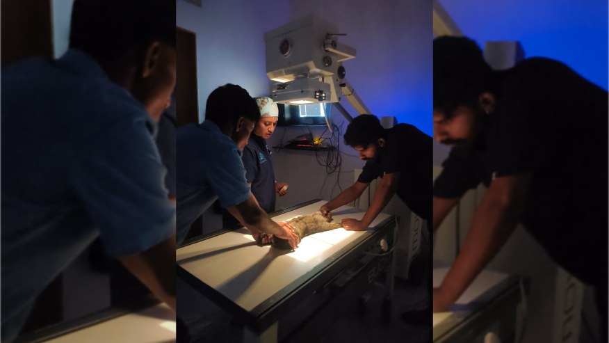 Digital X-rays for pets In Andheri